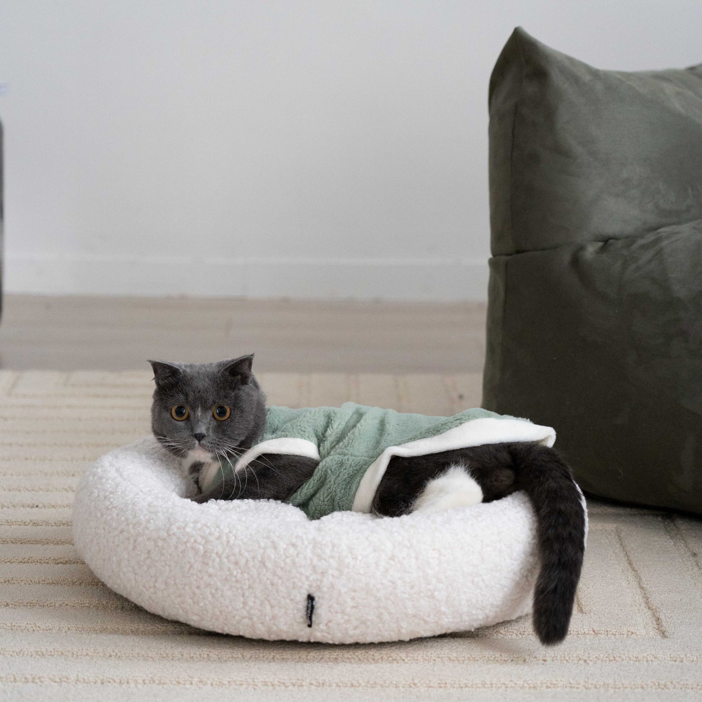 grado | XO Pet Bed 圈圈寵物窩