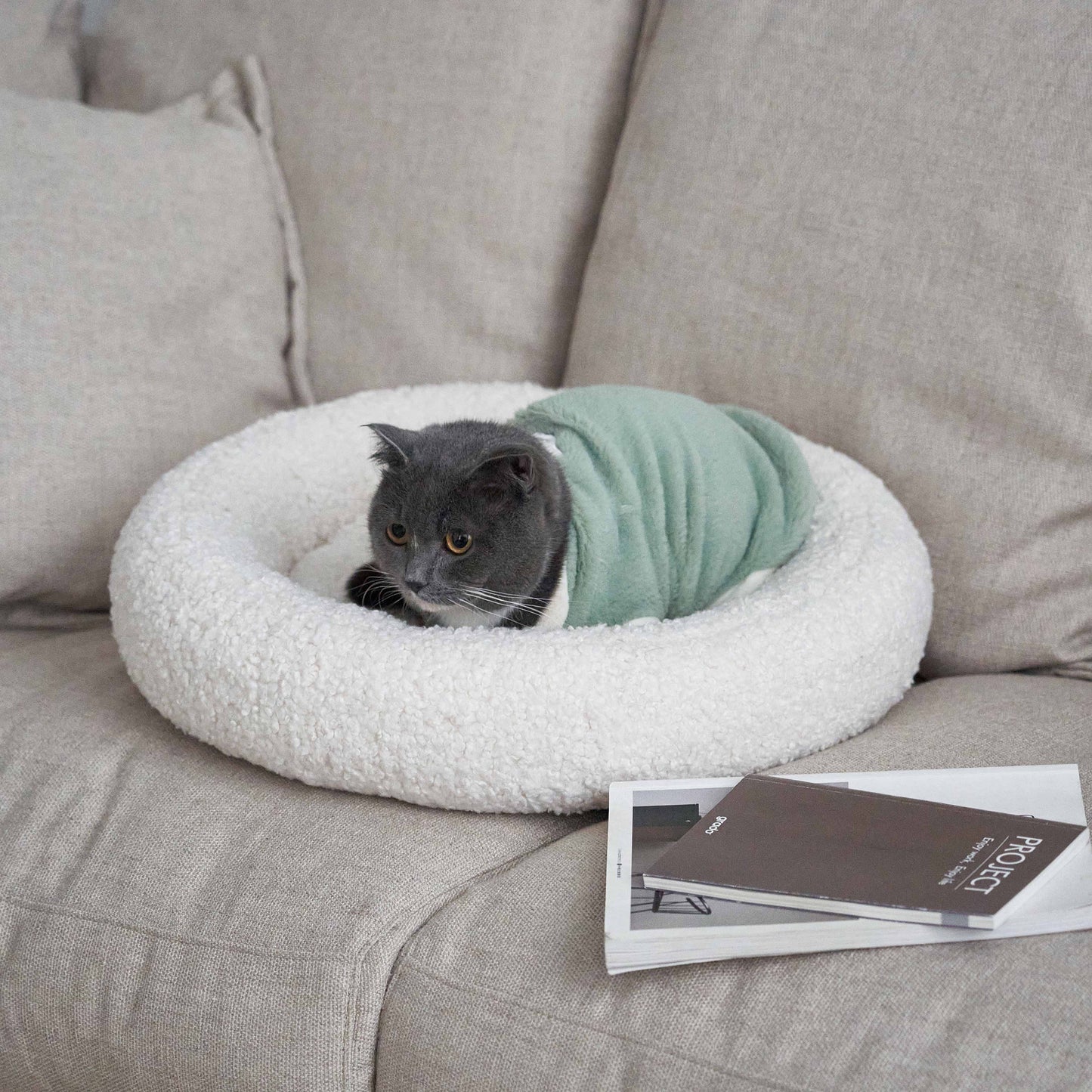 grado | XO Pet Bed 圈圈寵物窩