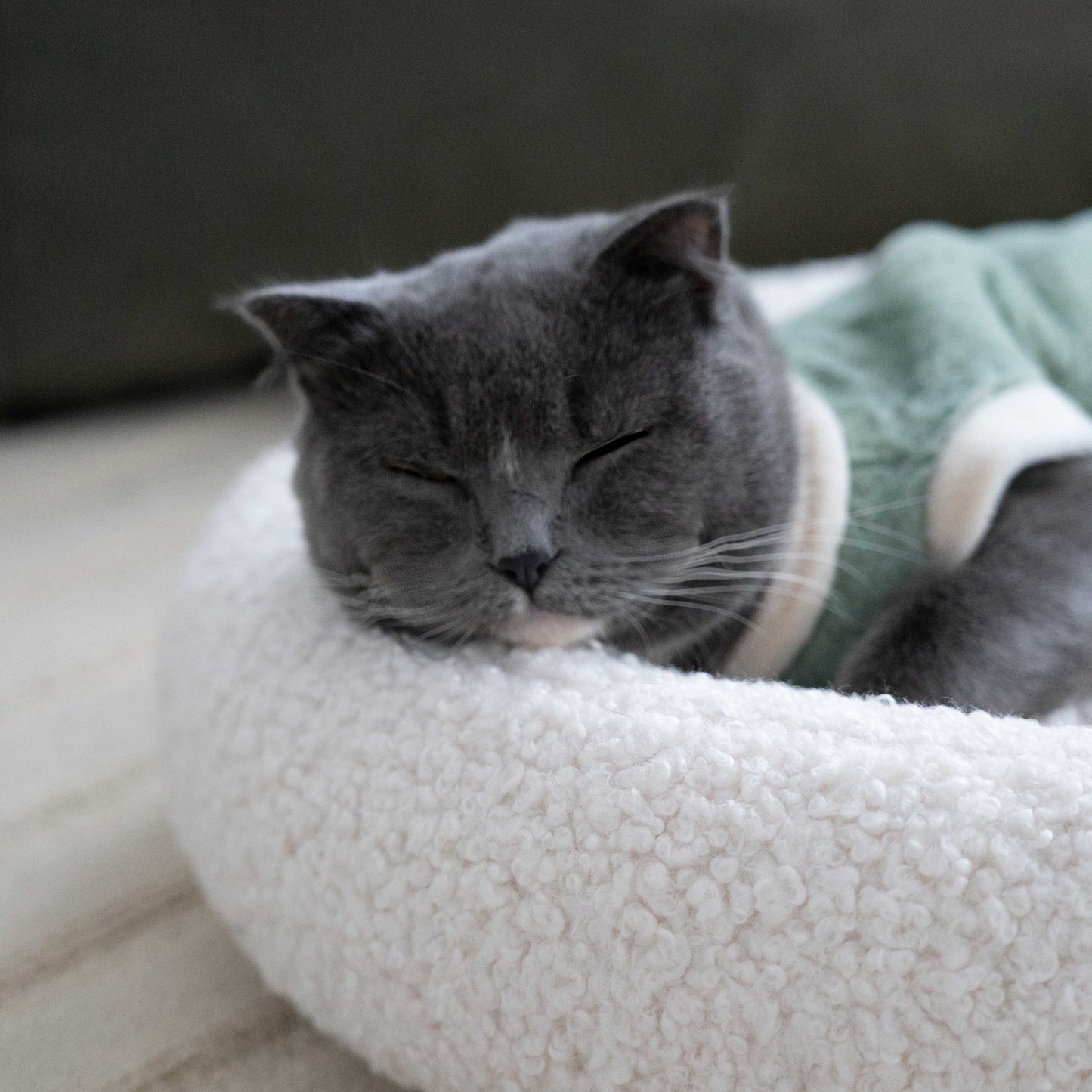 grado | XO Pet Bed 圈圈寵物窩