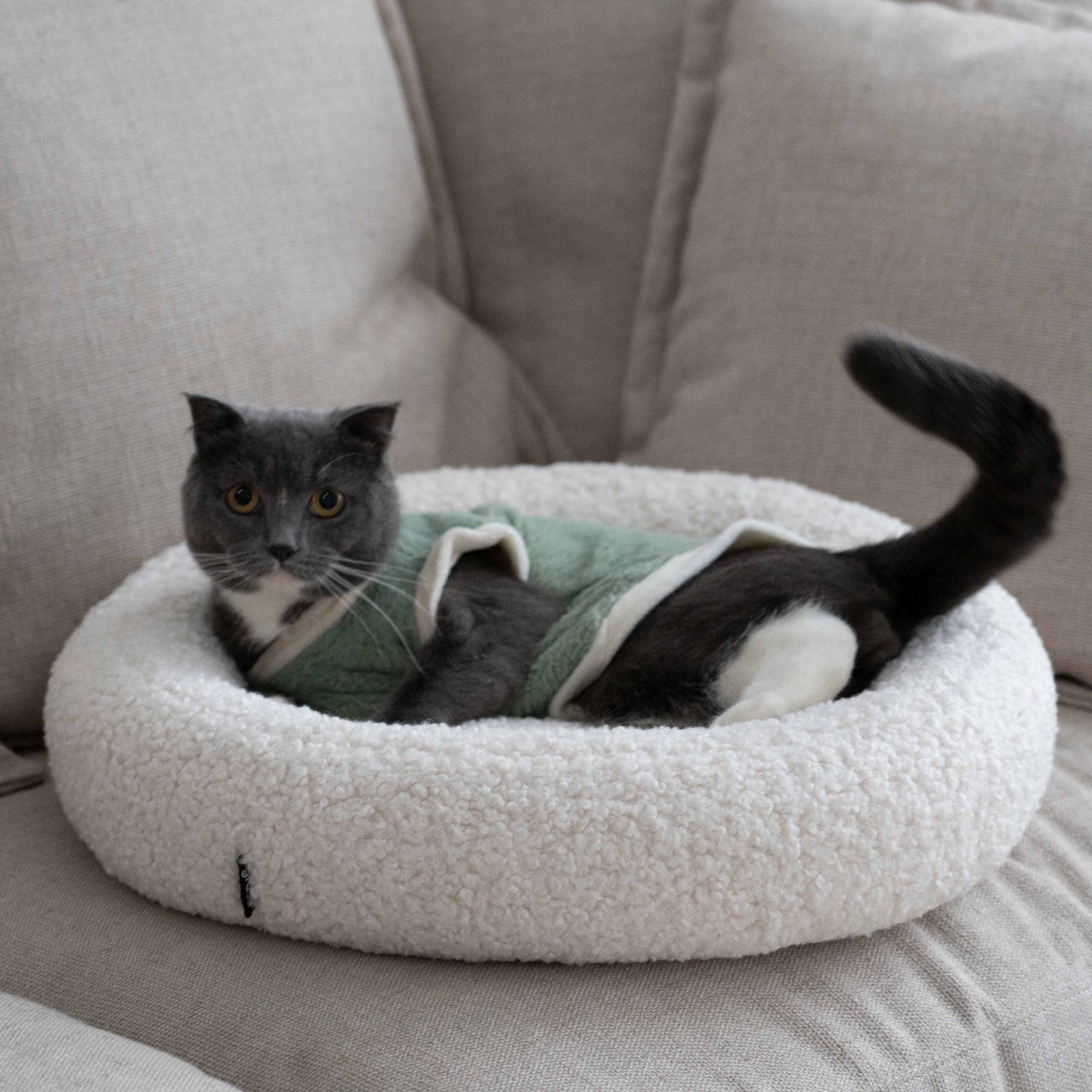 grado | XO Pet Bed 圈圈寵物窩