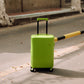 ITO |  PISTACHIO STRIPED 2 ECTOTHERM GREEN  20inch 開心果行李箱 冷血綠