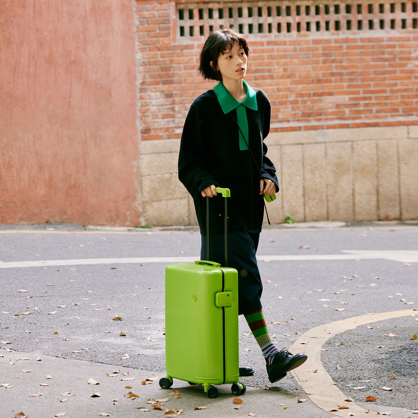 ITO |  PISTACHIO STRIPED 2 ECTOTHERM GREEN  20inch 開心果行李箱 冷血綠
