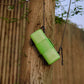 ITO |   PISTACHIO GLASSESCASE ECTOTHERM GREEN 開心果眼鏡盒 冷血綠