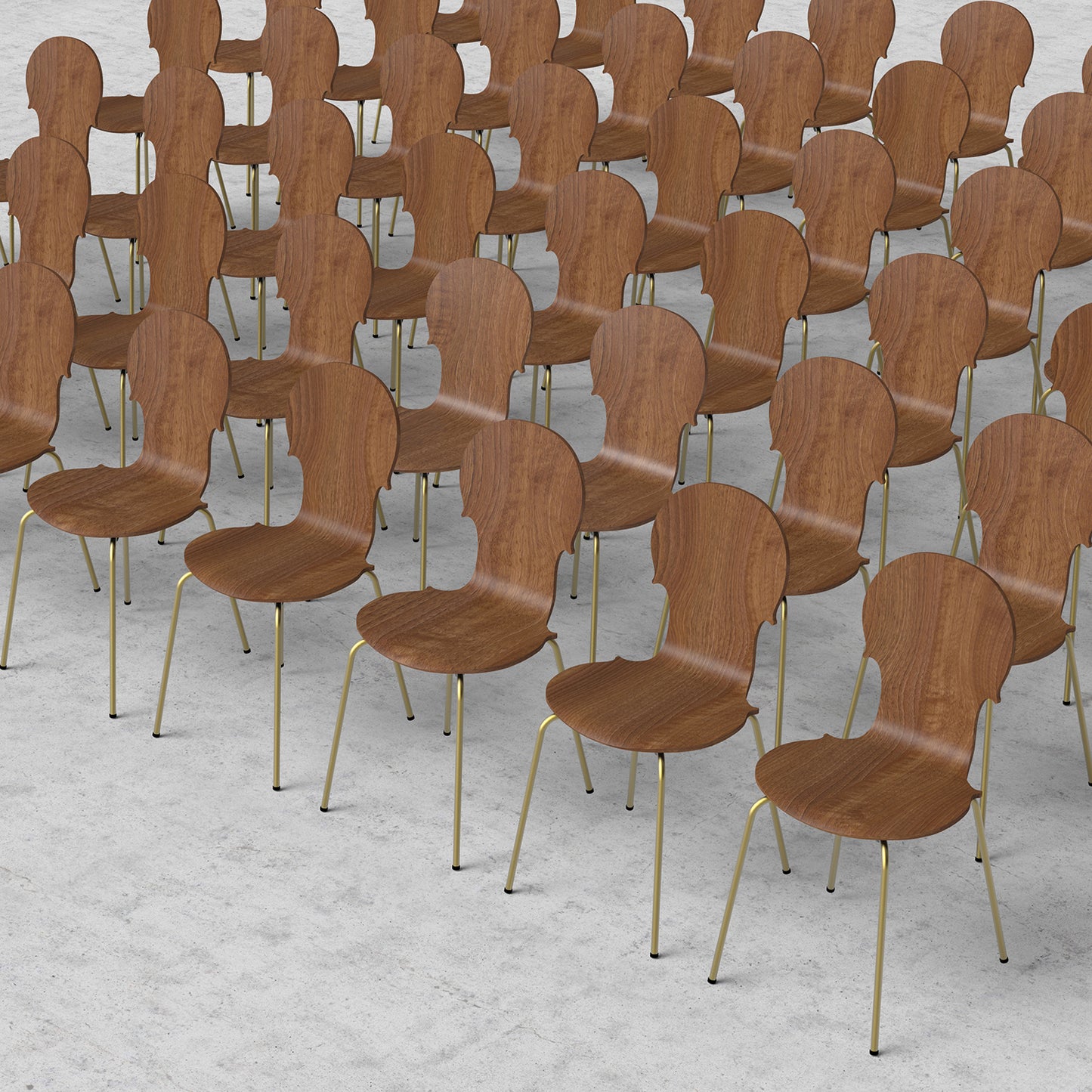 The Cremona Chair | 大提琴椅 單椅