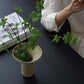 grado |  Dual vase 顛倒花瓶