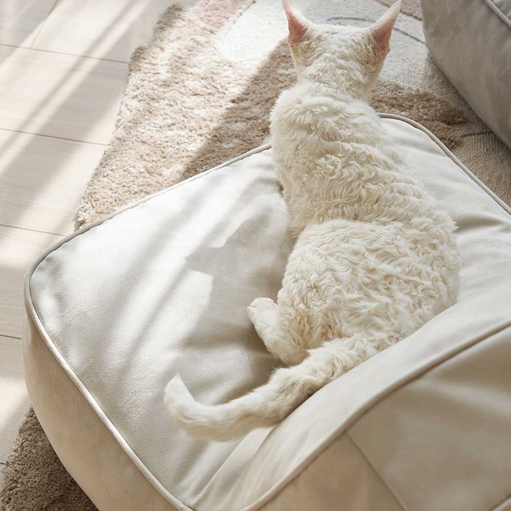 grado |  Mini Square Cake Sofa 迷你方糕沙發