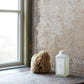 TANGENTGC | LAUNDRY CARE TGC042 衣物護理系列