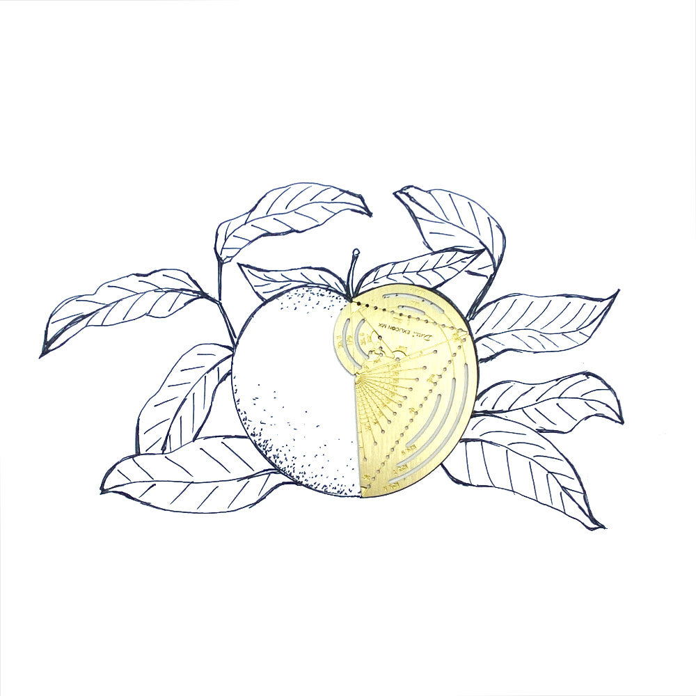 Ddiin | Exlicon Small TG Brass Disc 黃銅圓盤