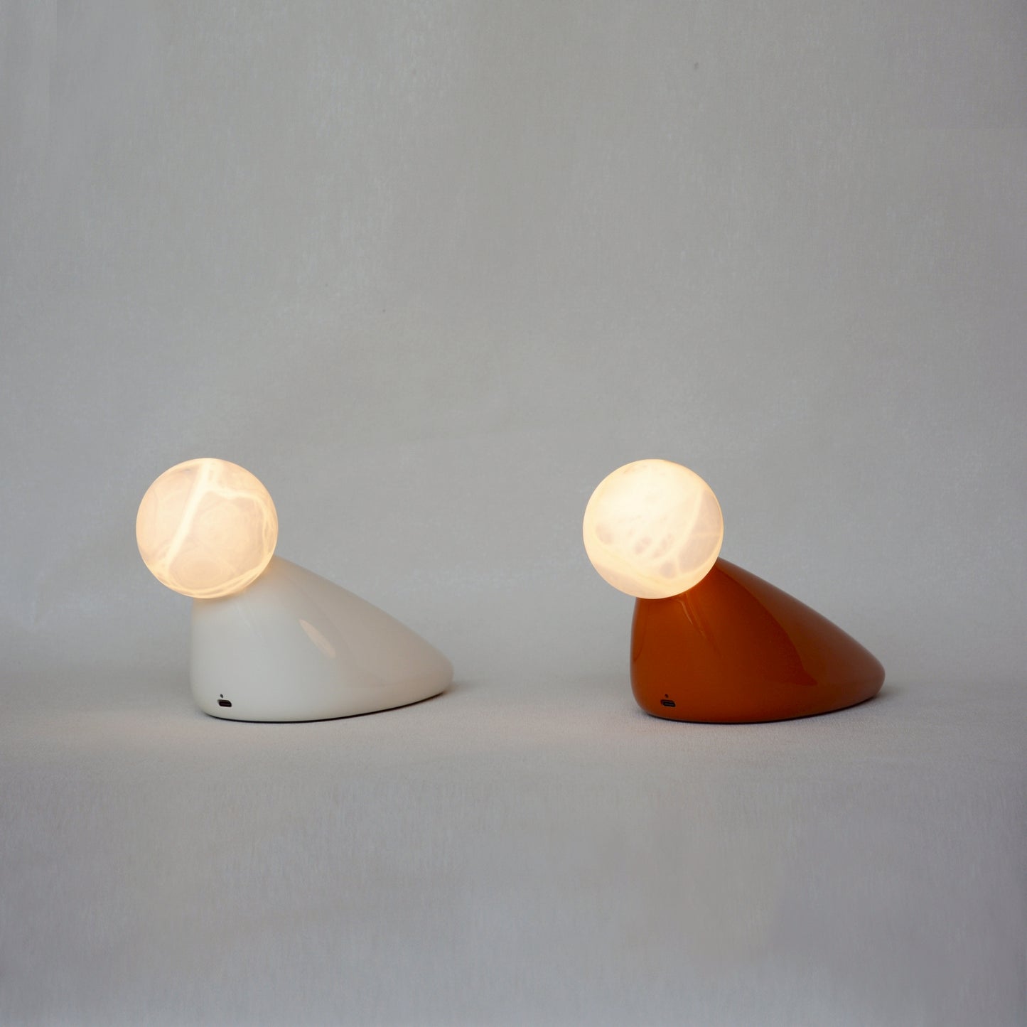 TIWUWORKS | Water Bird table light 水鳥台燈