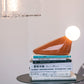TIWUWORKS | Water Bird table light 水鳥台燈