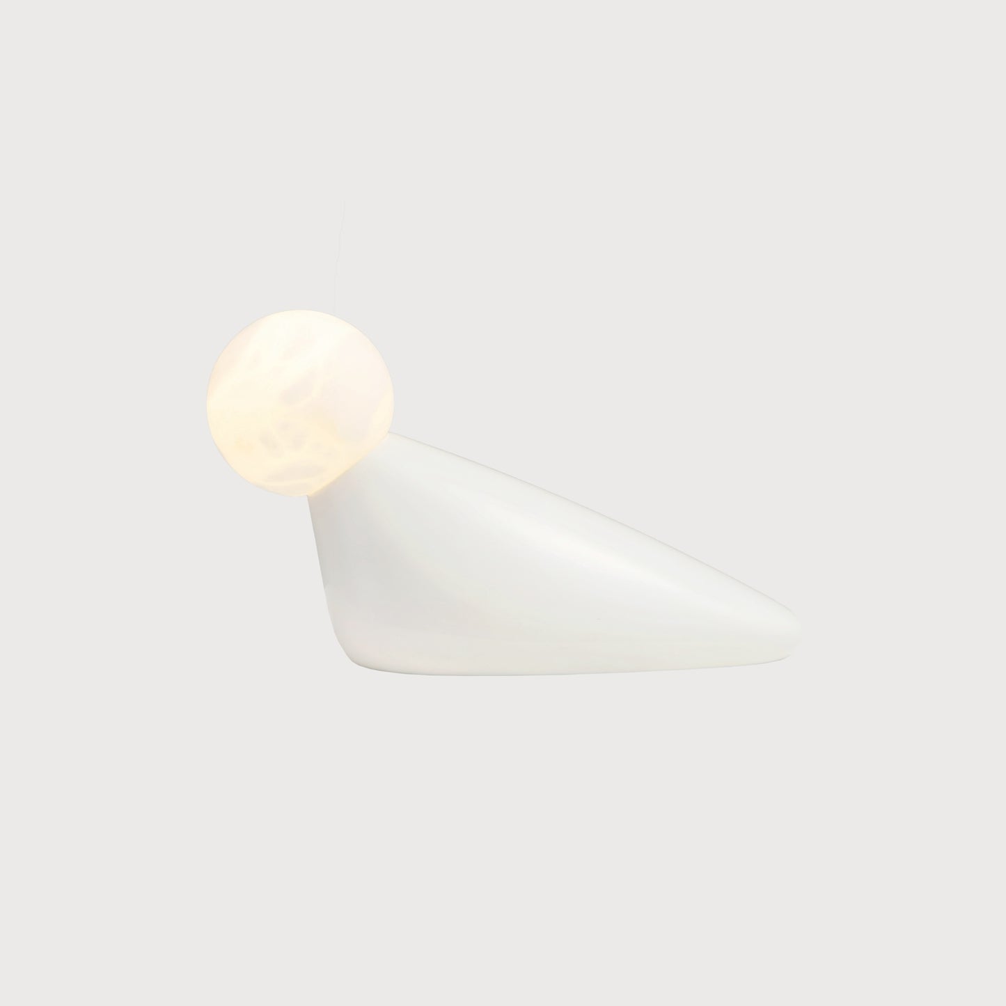 TIWUWORKS | Water Bird table light 水鳥台燈