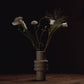 studiososlow | vase i 花瓶